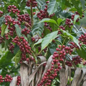 Trip No.01 – Nicaragua