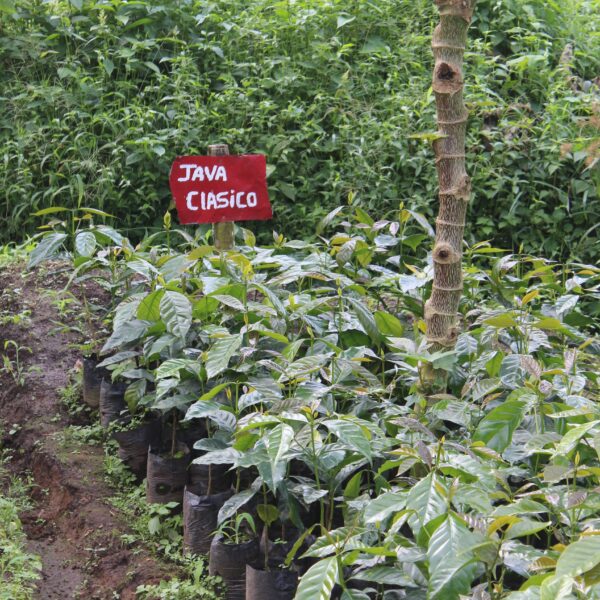 Trip No.01 – Nicaragua