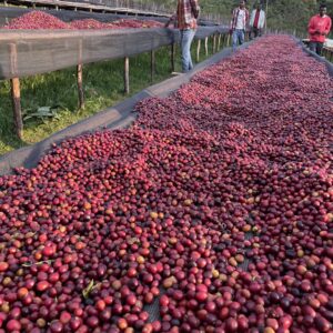 Trip No.02 – Ethiopia