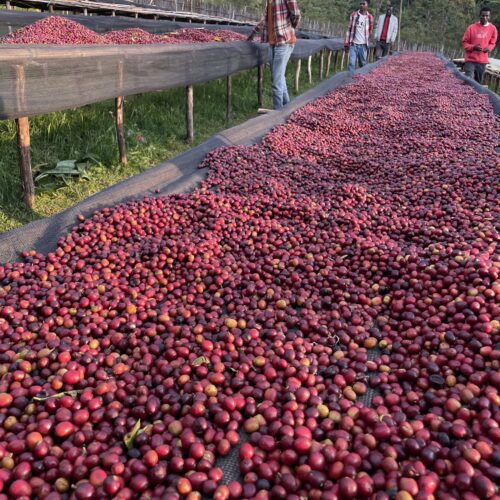 Trip No.02 – Ethiopia