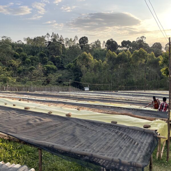 Trip No.02 – Ethiopia