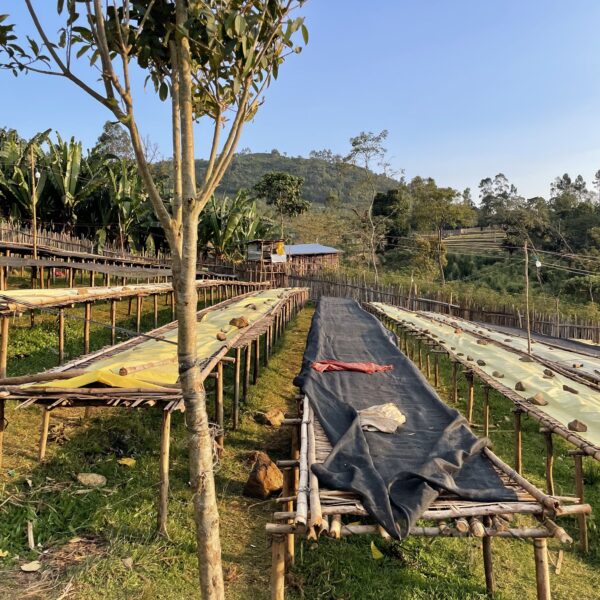 Trip No.02 – Ethiopia